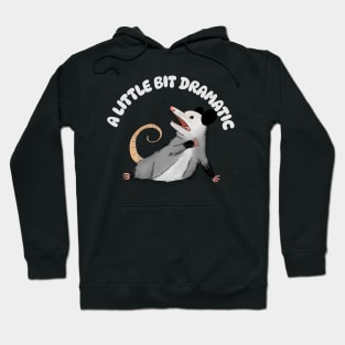 A Little Bit Dramatic - Funny Possum Hoodie